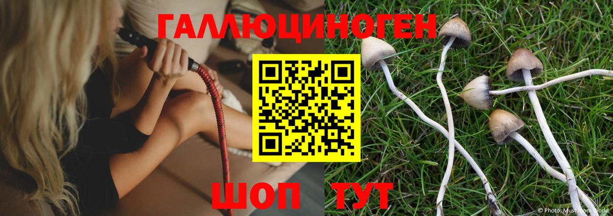 Ростов-на-Дону  Галлюциногенные грибы прущие грибы  Вход с VPN 
