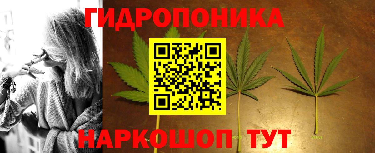 Шишки марихуана сатива Ростов-на-Дону